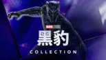 thumbnail - 黑豹