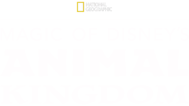 Magic of Disney's Animal Kingdom