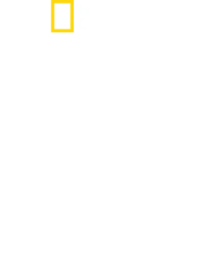 Nazilerin Gizli Dünyası
