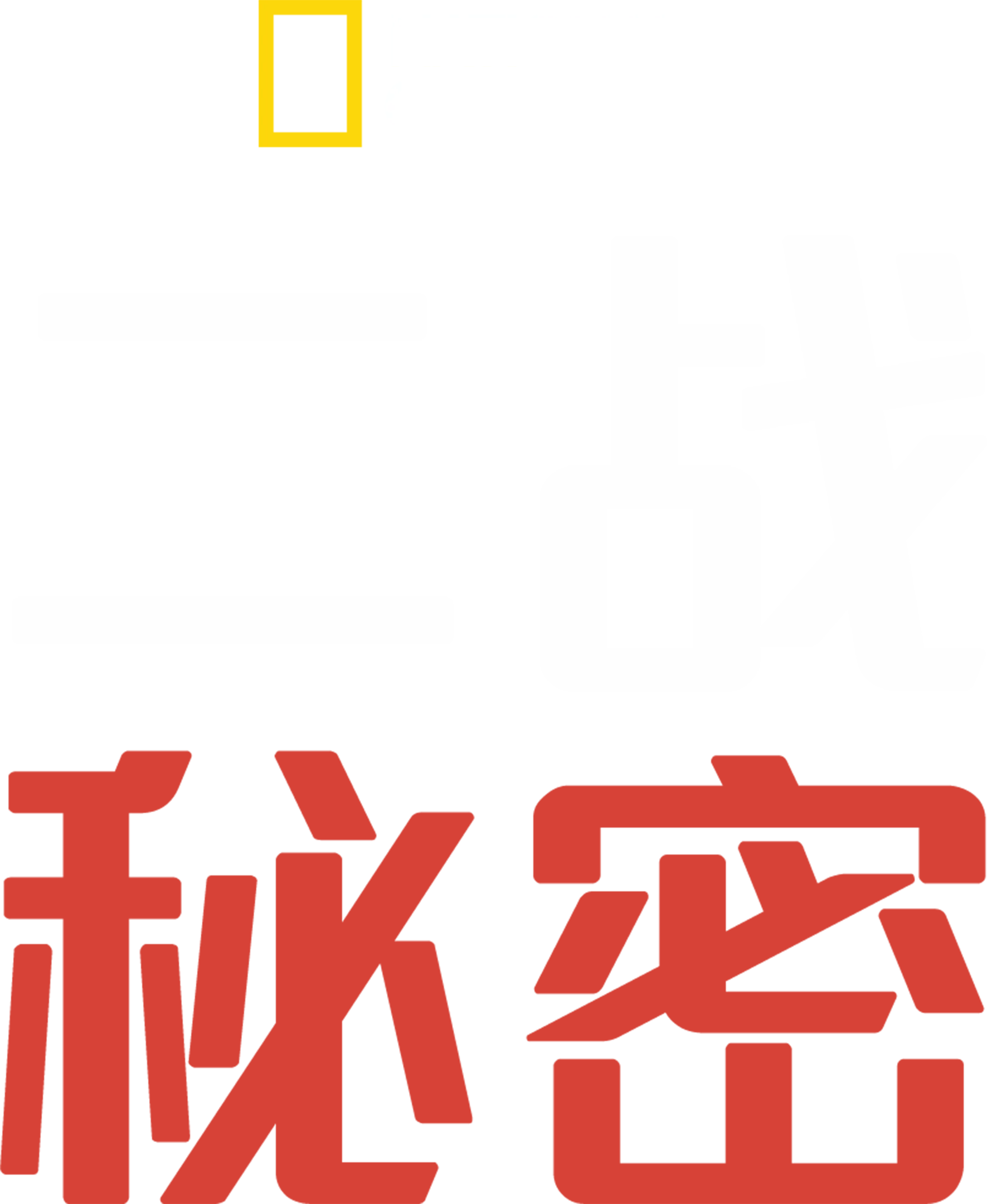 二战秘密