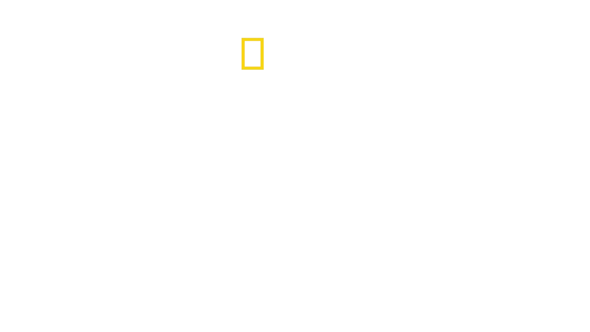 Haiden hampaissa