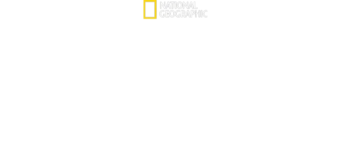 Haiden hampaissa