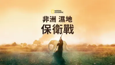 非洲濕地保衛戰