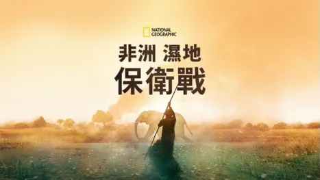 thumbnail - 非洲濕地保衛戰