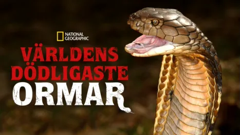 thumbnail - Världens dödligaste ormar