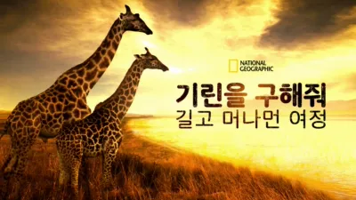 기린을 구해줘: 길고 머나먼 여정