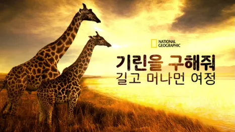 thumbnail - 기린을 구해줘: 길고 머나먼 여정