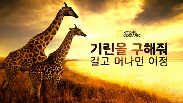 thumbnail - 기린을 구해줘: 길고 머나먼 여정