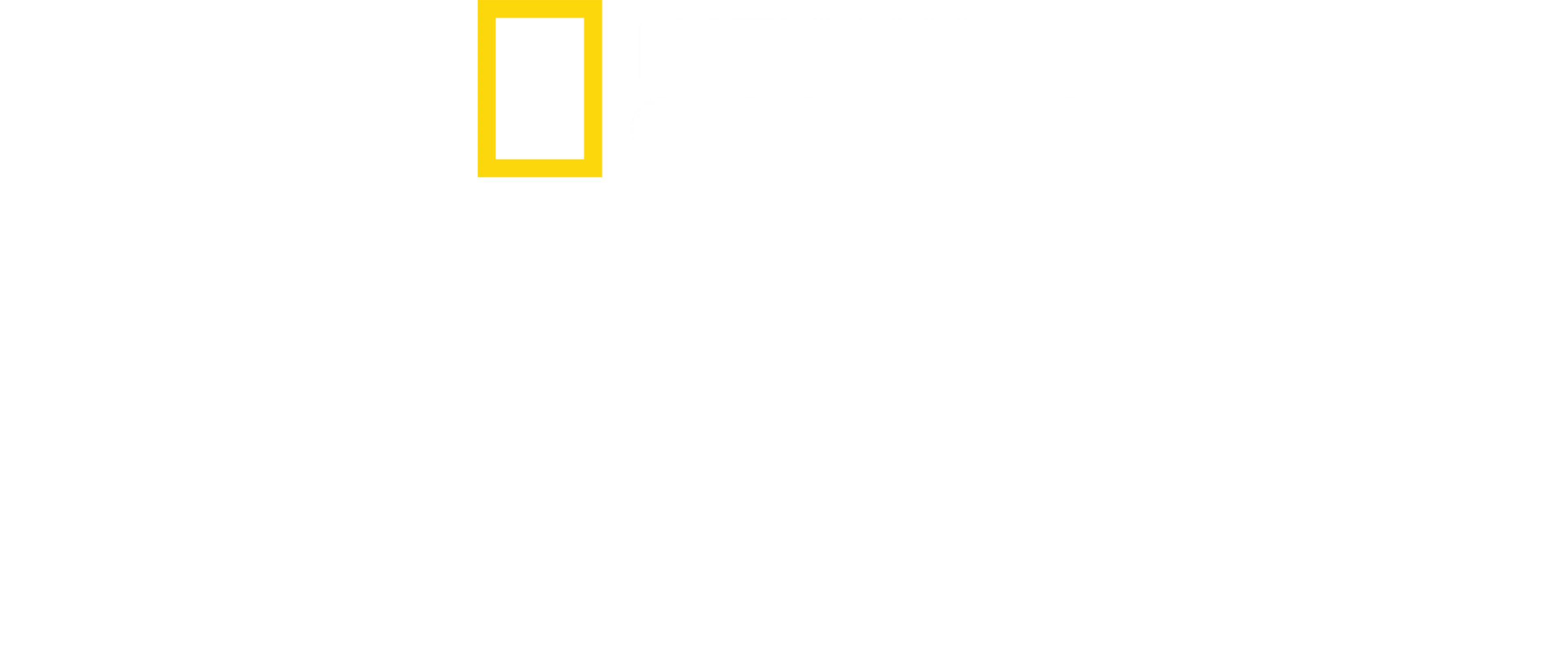 我是勇者