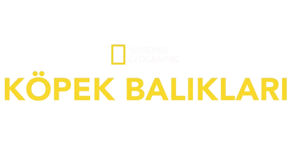 National Geographic Köpekbalıkları