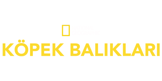 National Geographic Köpekbalıkları
