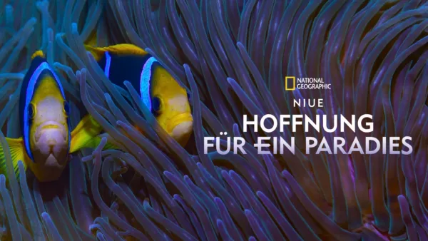 thumbnail - Niue - Hoffnung für ein Paradies