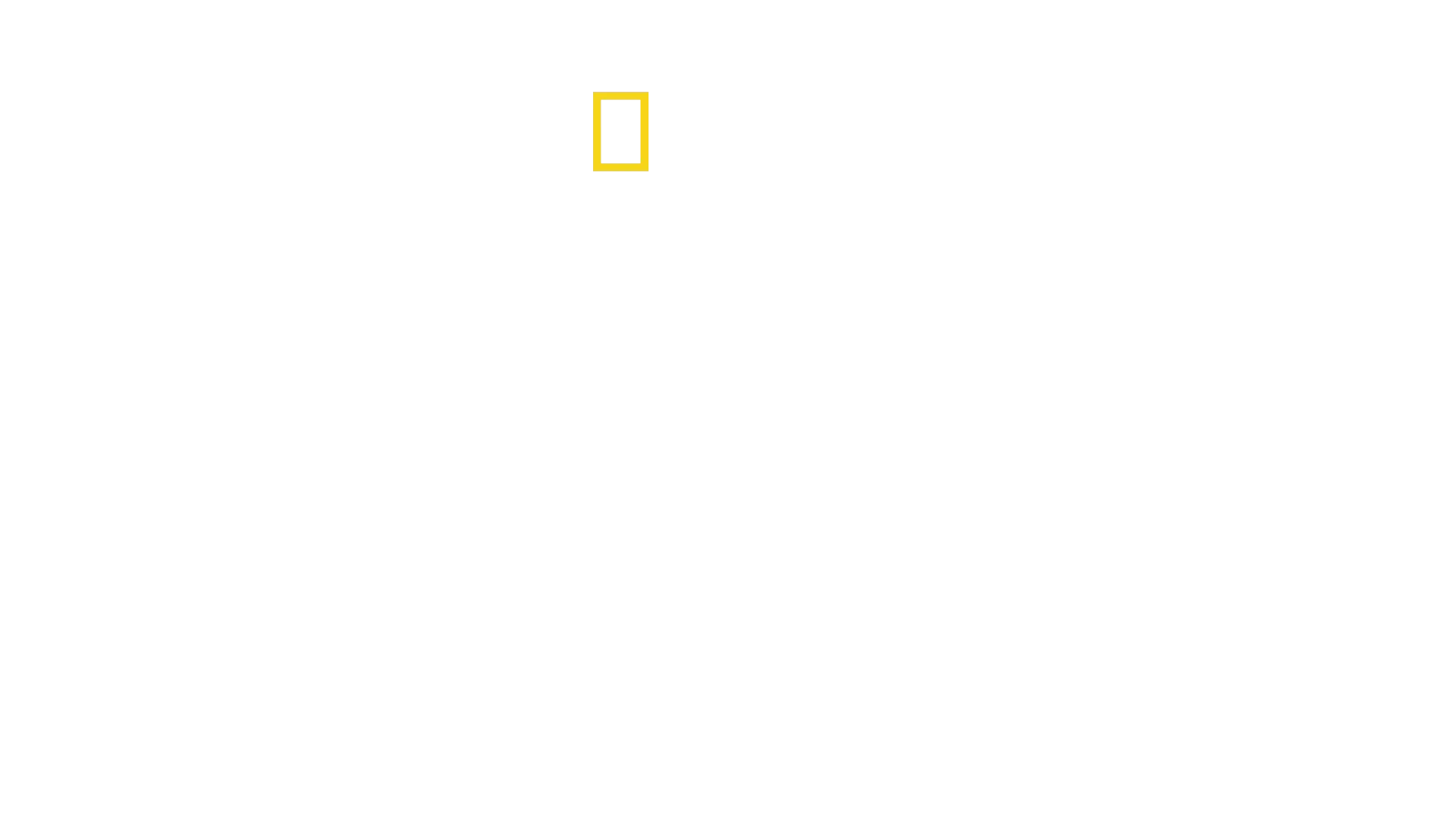 Growing Up Animal