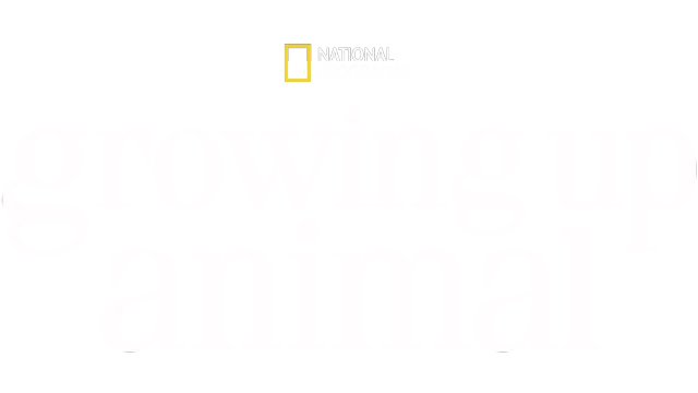 Growing Up Animal