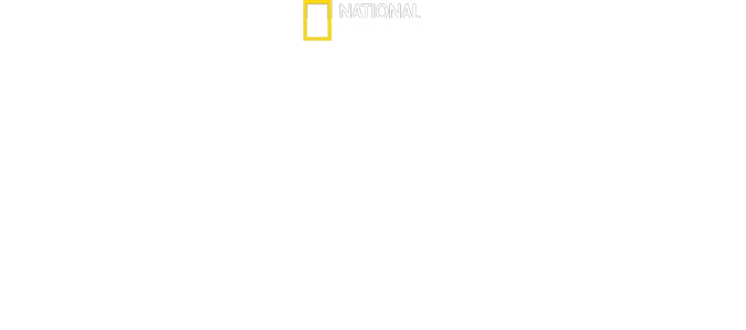 Growing Up Animal