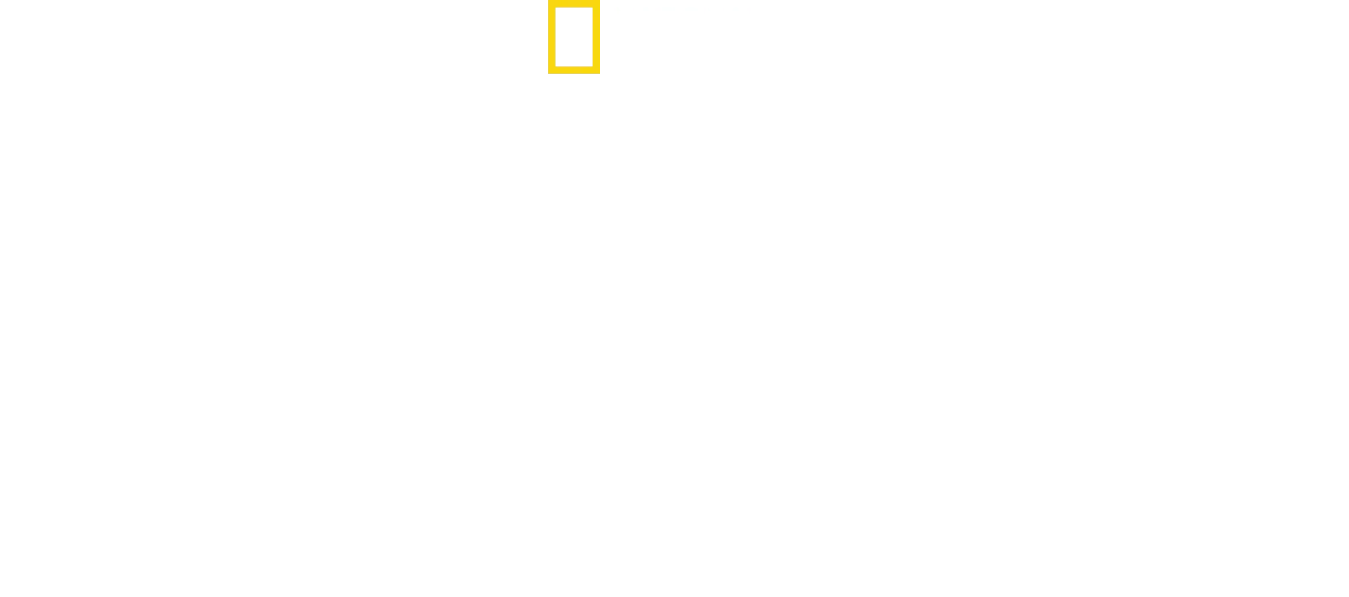 Growing Up Animal