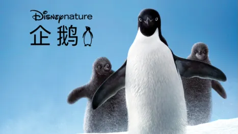 thumbnail - 企鹅