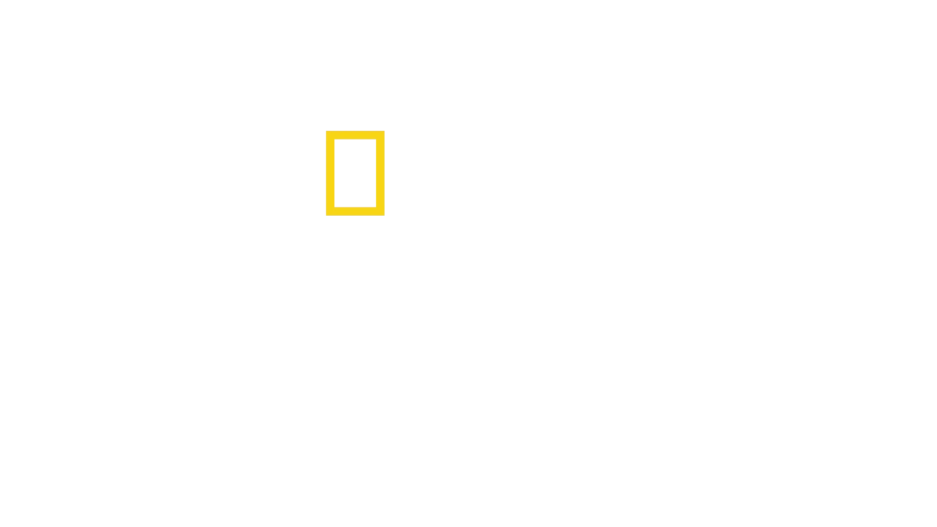 Top Cars
