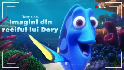 thumbnail - Imagini din reciful lui Dory