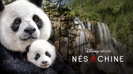 thumbnail - Nés en Chine