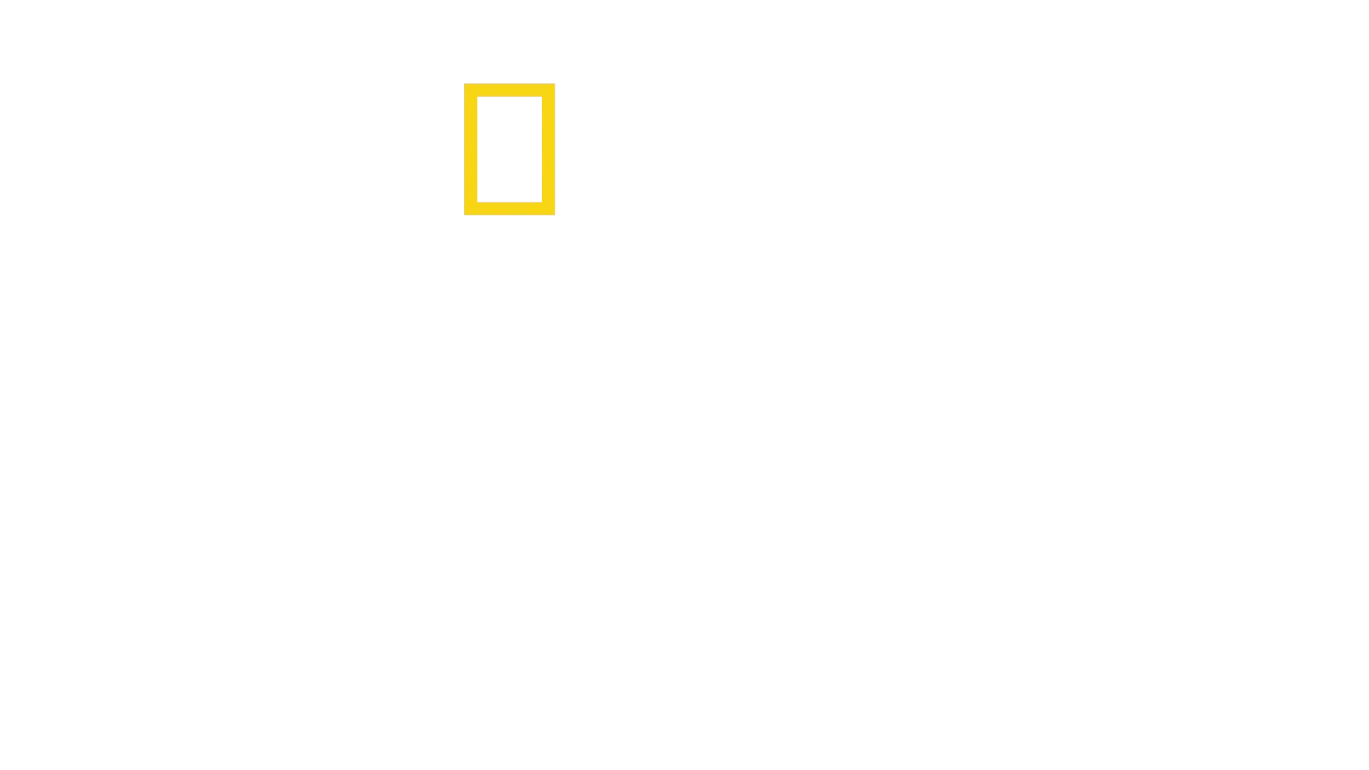 Tutkimusretki Amelia