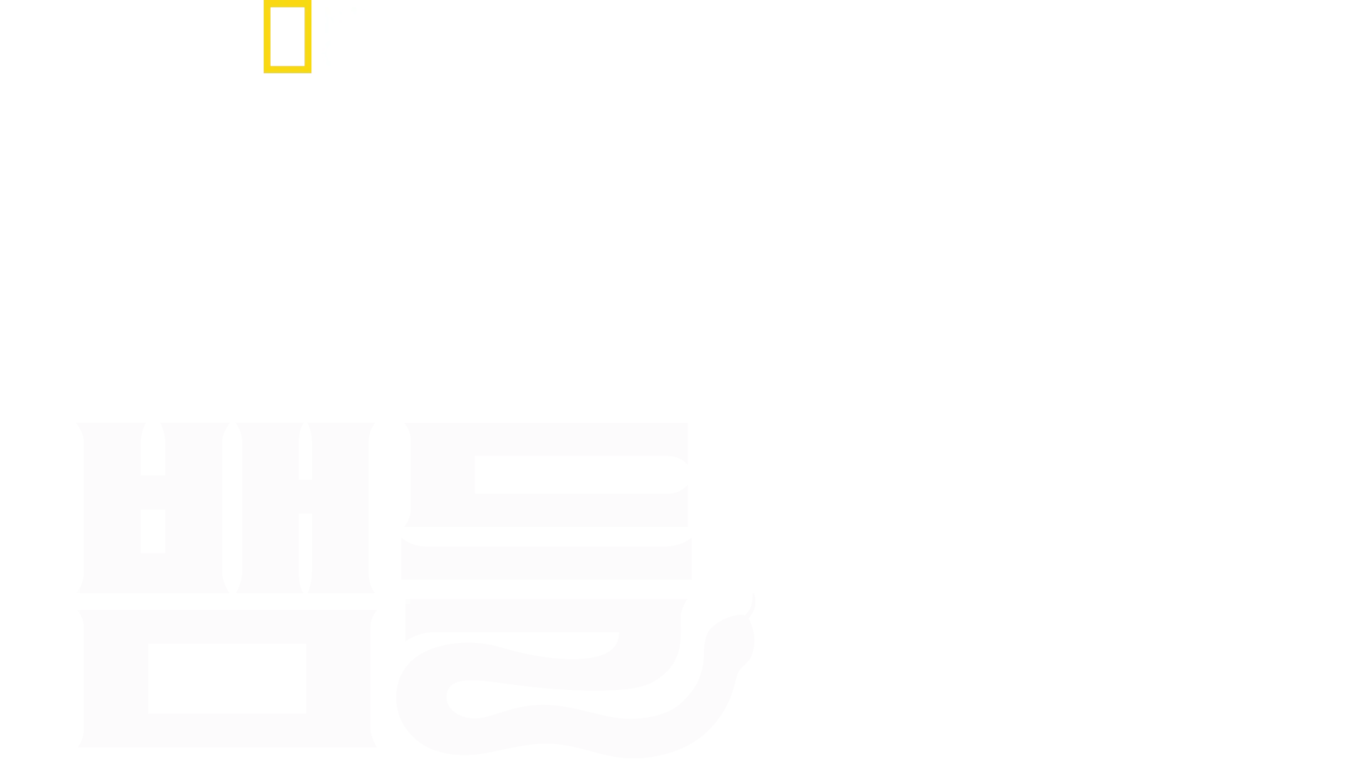 세상에서 가장 치명적인 뱀들