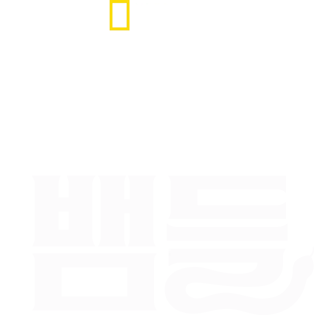 세상에서 가장 치명적인 뱀들