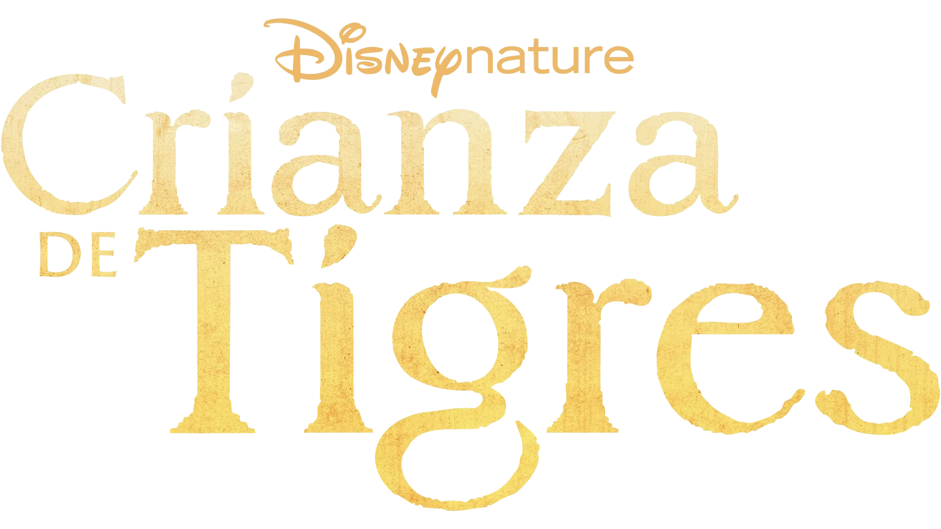 Crianza De Tigres