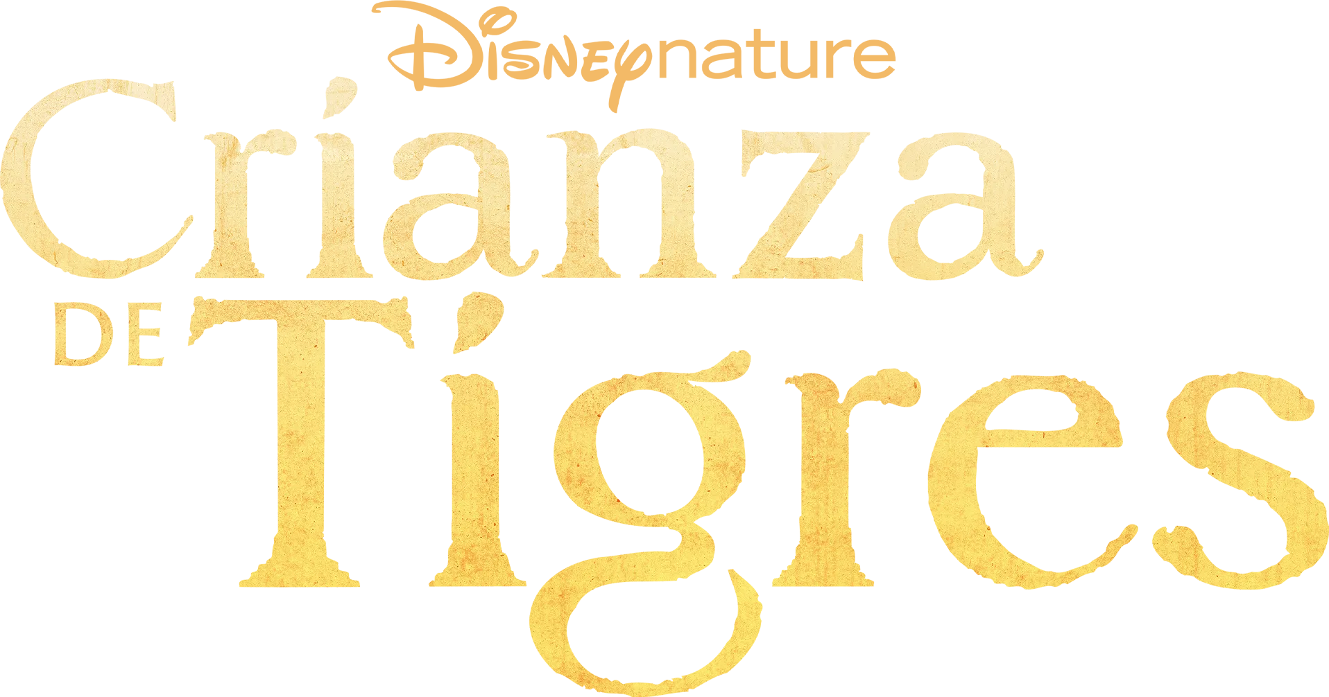 Crianza De Tigres