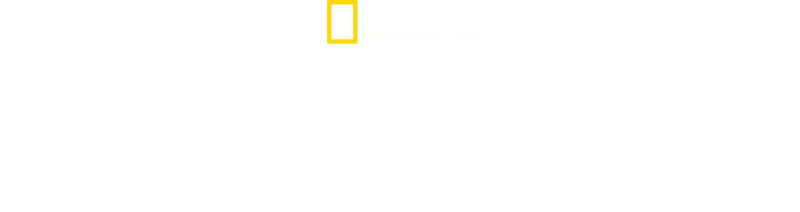 Nazi Megakonstuktioner