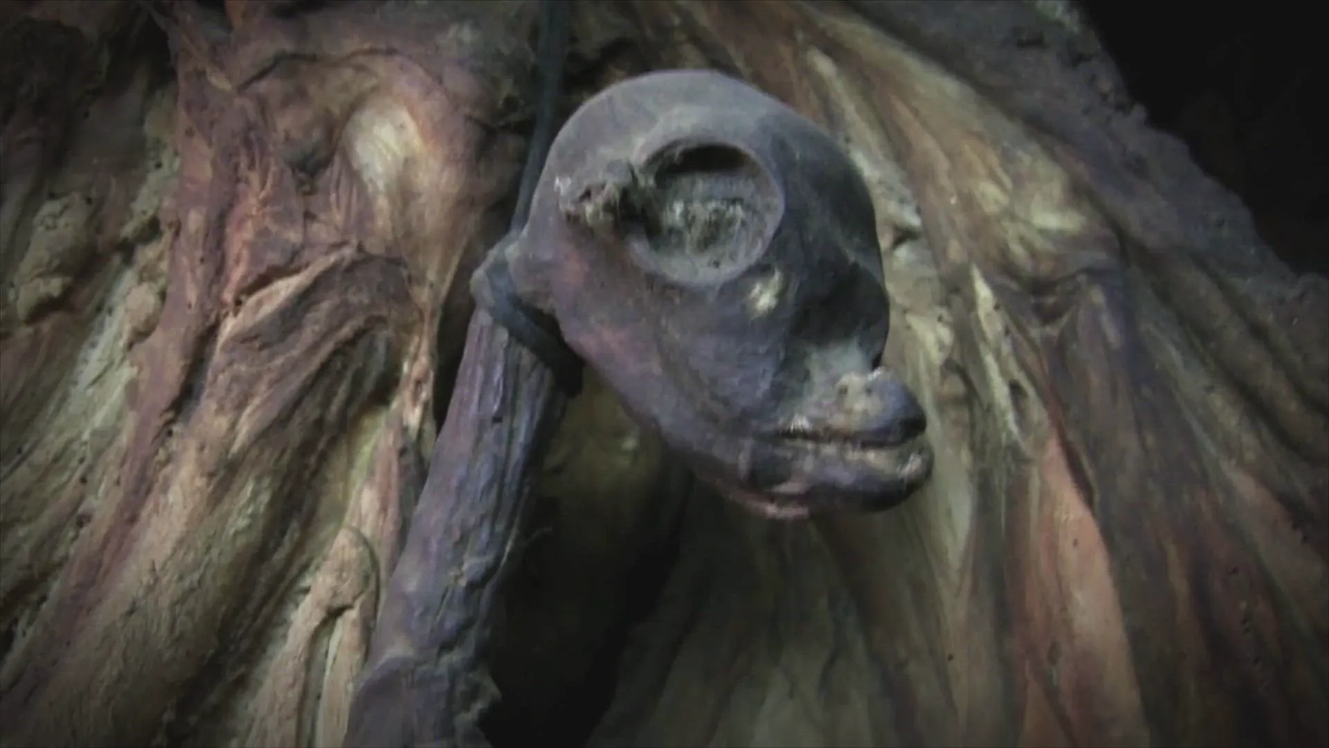 thumbnail - S4:E6 Mystery Bird Monster, Ancient Alien Satellite, and Behemoth of the Sea Bottom