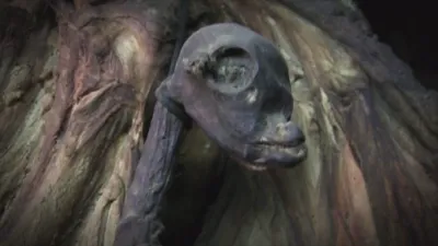 thumbnail - S4:E6 Mystery Bird Monster, Ancient Alien Satellite, and Behemoth of the Sea Bottom