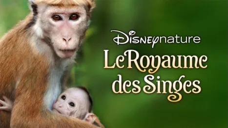 thumbnail - Le Royaume des singes