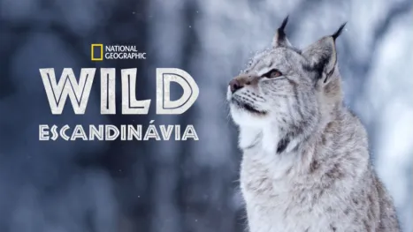 thumbnail - Wild Escandinávia