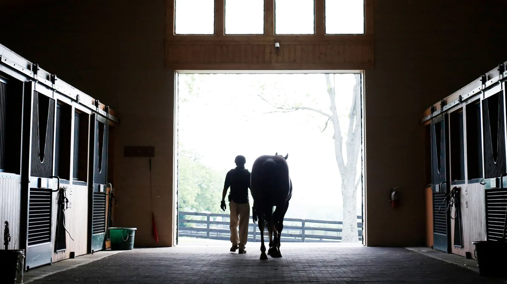 thumbnail - S3:E2 Broken Horses