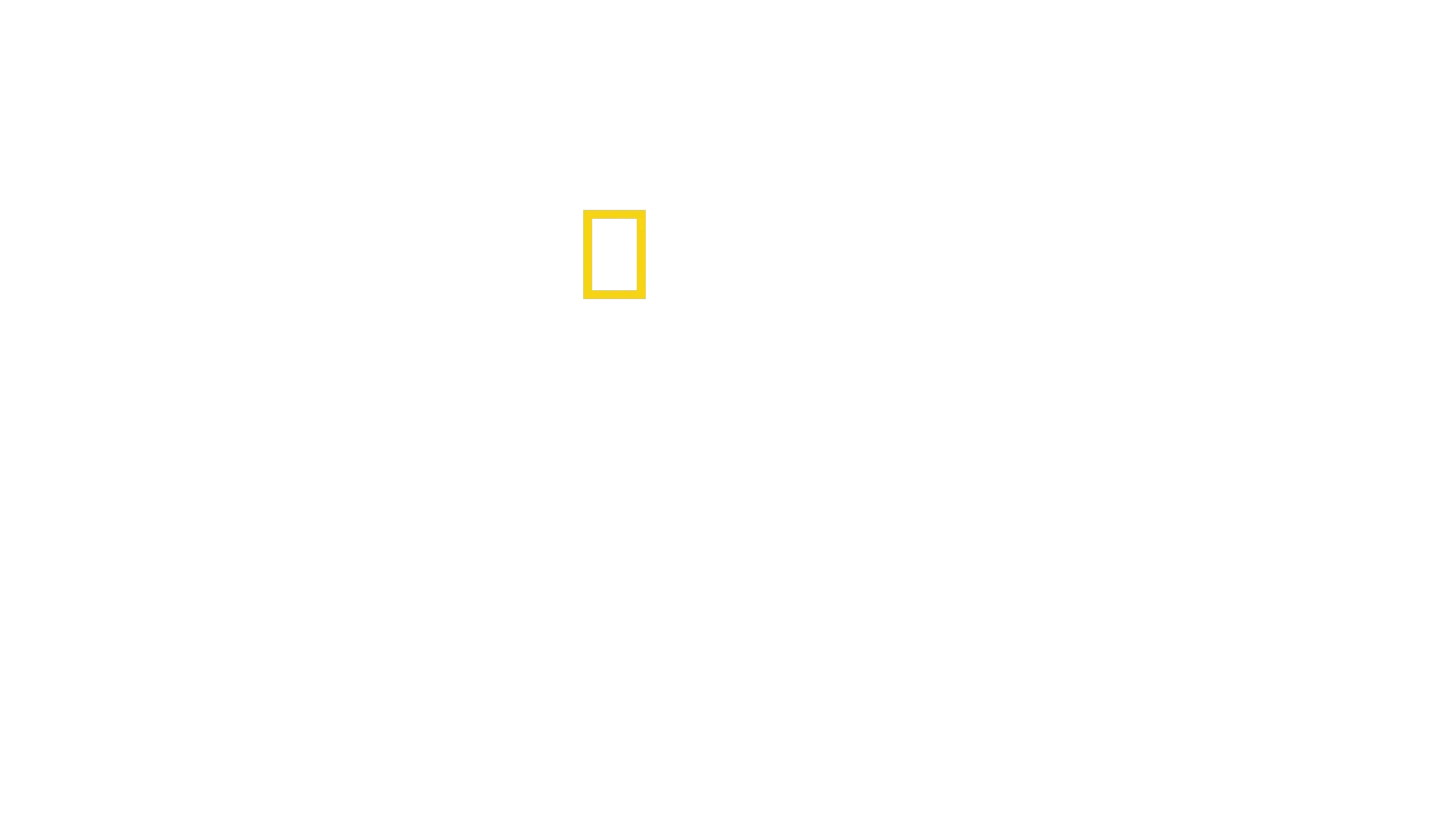 Den vilde natur: Yellowstone