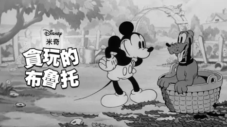 thumbnail - 貪玩的布魯托