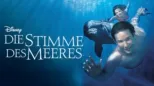 thumbnail - Die Stimme des Meeres