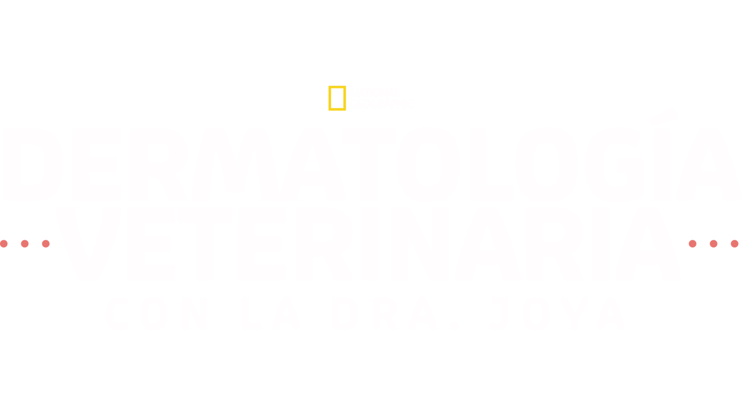 Dermatología veterinaria con la Dra. Joya