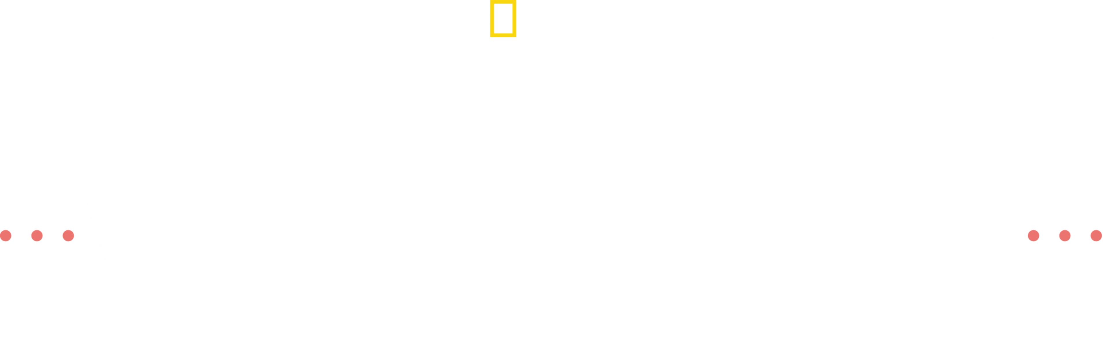 Dermatología veterinaria con la Dra. Joya