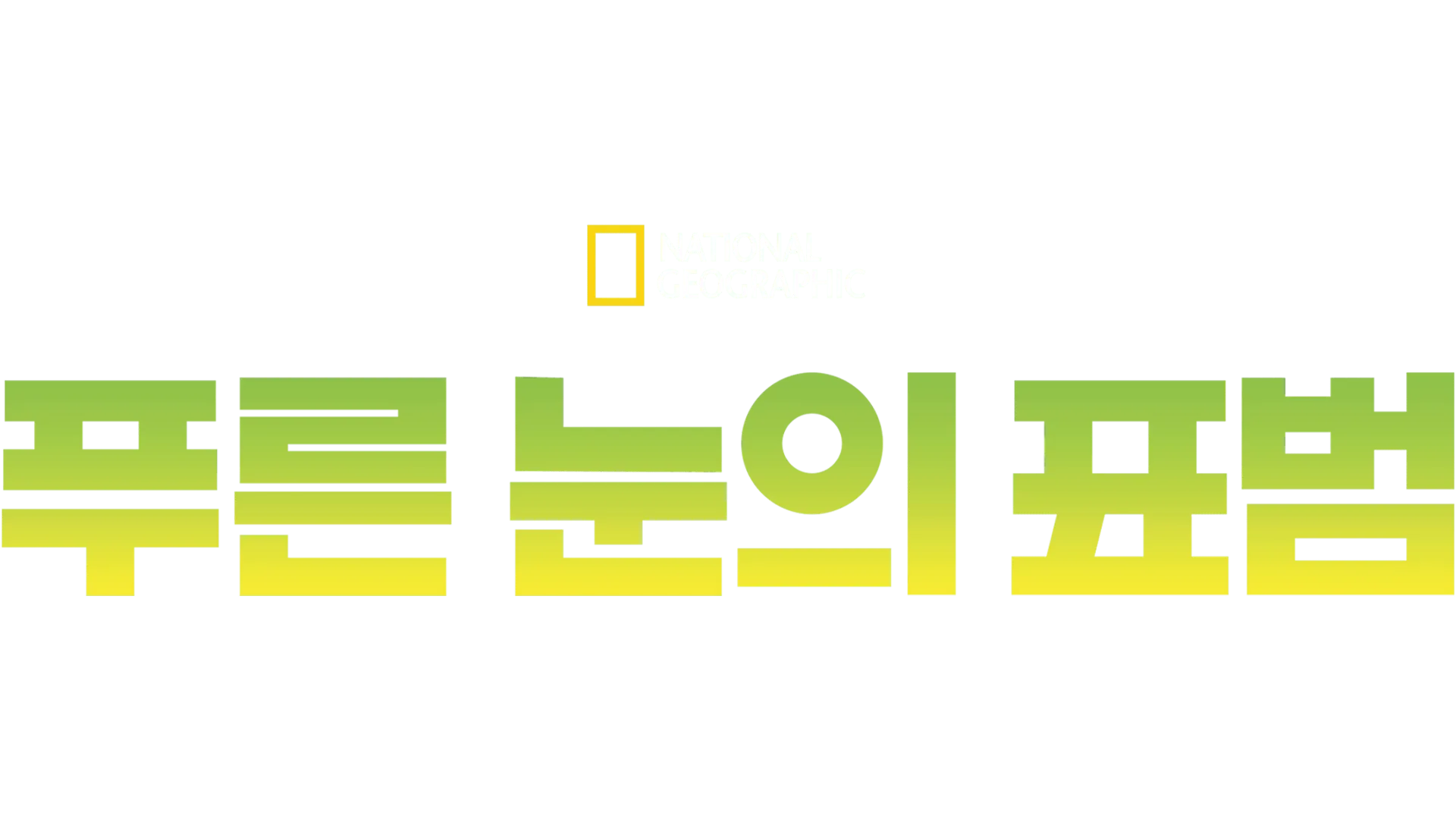 푸른 눈의 표범