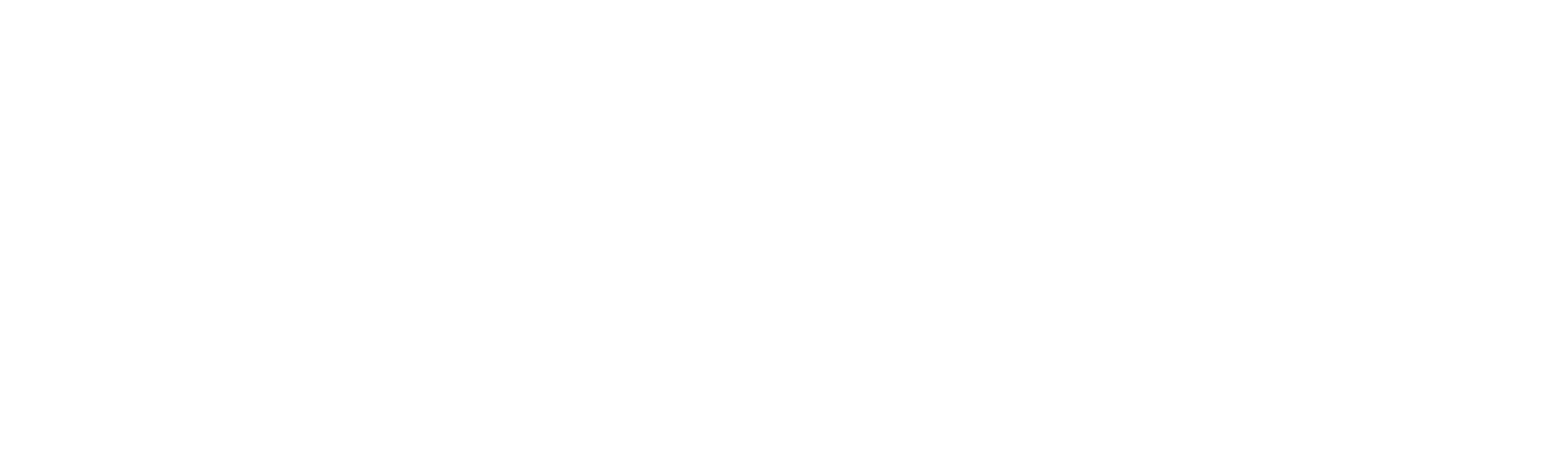Mein Lokal, Dein Lokal – Der Profi kommt
