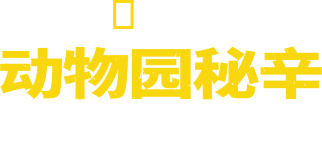 动物园秘辛：北卡罗来纳州