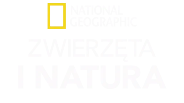 National Geographic – zwierzęta i natura