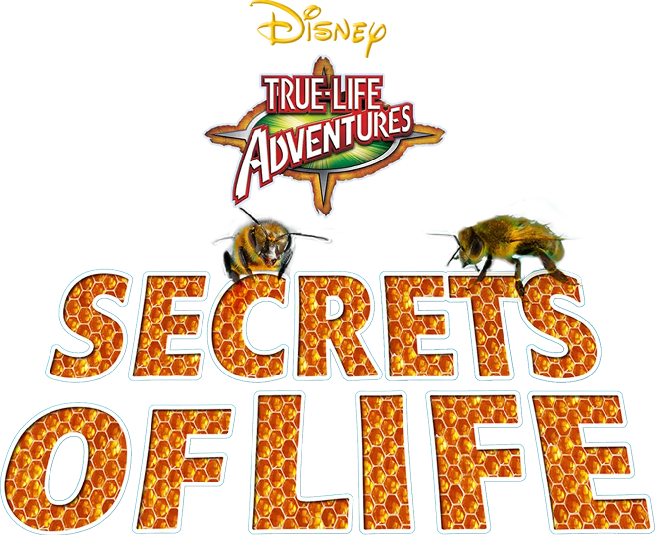Secrets of Life