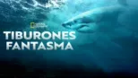 thumbnail - Tiburones fantasma