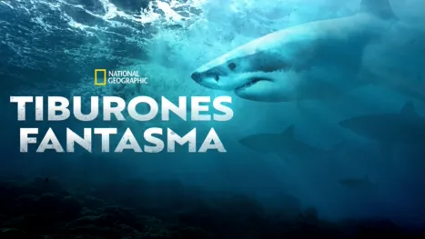 thumbnail - Tiburones fantasma