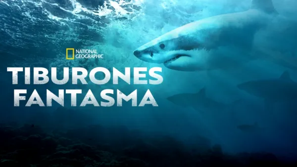 thumbnail - Tiburones fantasma