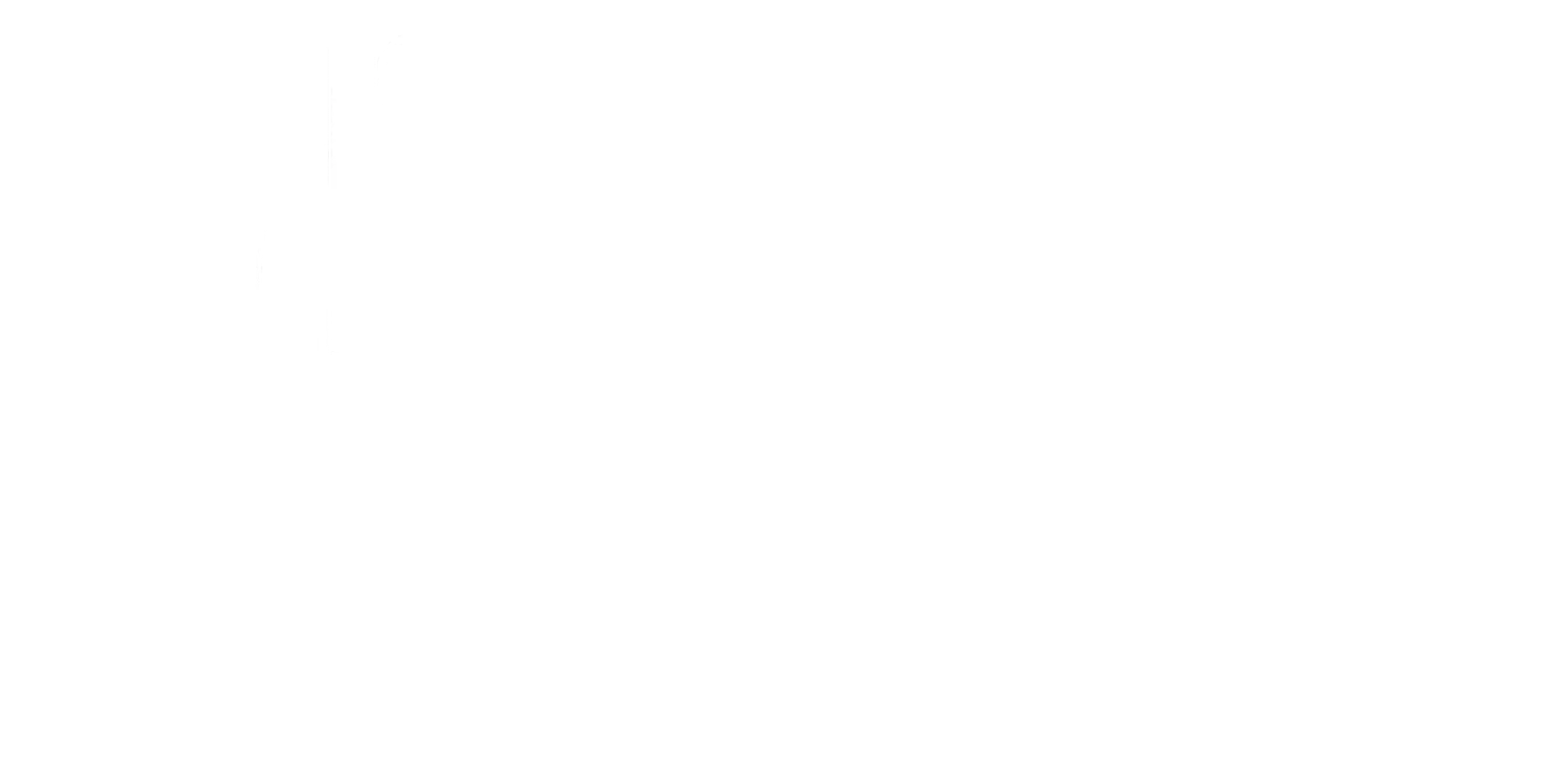 The Whistleblower