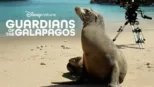 thumbnail - Guardians of the Galapagos